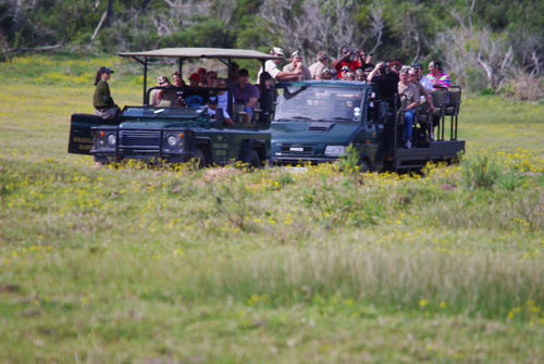 Hotel Kragga Kamma Game Park Port Elizabeth Exteriér fotografie