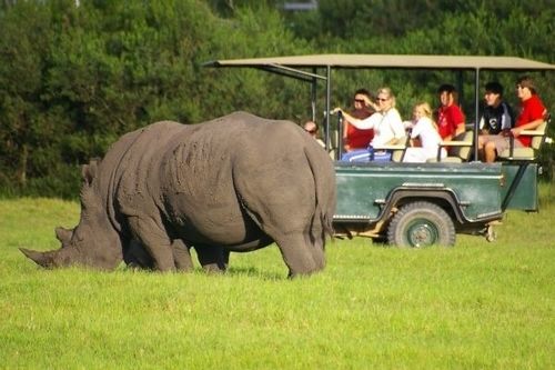 Hotel Kragga Kamma Game Park Port Elizabeth Exteriér fotografie