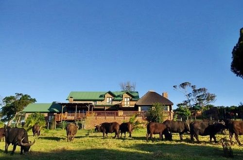 Hotel Kragga Kamma Game Park Port Elizabeth Exteriér fotografie