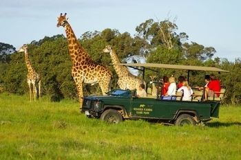 Hotel Kragga Kamma Game Park Port Elizabeth Exteriér fotografie